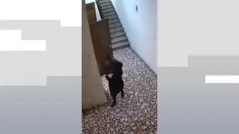 Detenida en Barcelona una mujer por robar al personal de limpieza de edificios y entrar en 17 trasteros con llave falsa Detenida en Barcelona una mujer por robar al personal de limpieza de edificios y entrar en 17 trasteros con llave falsa