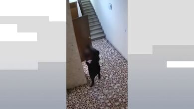 Detenida en Barcelona una mujer por robar al personal de limpieza de edificios y entrar en 17 trasteros con llave falsa