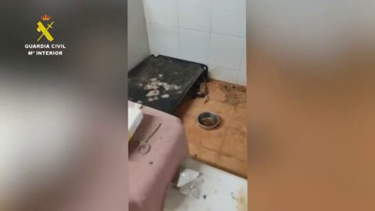 La Guardia Civil halla 250 animales muertos y 171 en estado cr&iacute;tico en un criadero clandestino en A Coru&ntilde;a