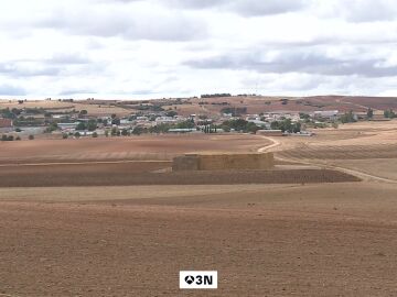 Los motes, una tradición que sigue vigente en la España rural