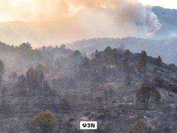 Marga y Javier: los vecinos que poco a poco han conseguido recuperar su vida tras el fuego