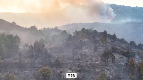 Marga y Javier: los vecinos que poco a poco han conseguido recuperar su vida tras el fuego Marga y Javier: los vecinos que poco a poco han conseguido recuperar su vida tras el fuego