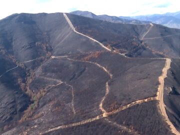 Galicia culmina el operativo aéreo para alimentar a la fauna tras los incendios: “Sin animales, sin bosques, no hay futuro”