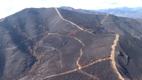 Galicia culmina el operativo aéreo para alimentar a la fauna tras los incendios: “Sin animales, sin bosques, no hay futuro” Galicia culmina el operativo aéreo para alimentar a la fauna tras los incendios: “Sin animales, sin bosques, no hay futuro”