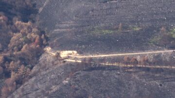 Galicia culmina el operativo aéreo para alimentar a la fauna tras los incendios: “Sin animales, sin bosques, no hay futuro”
