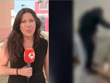 Ajuste de cuentas Joselito El Lanas Ajuste de cuentas Joselito El Lanas