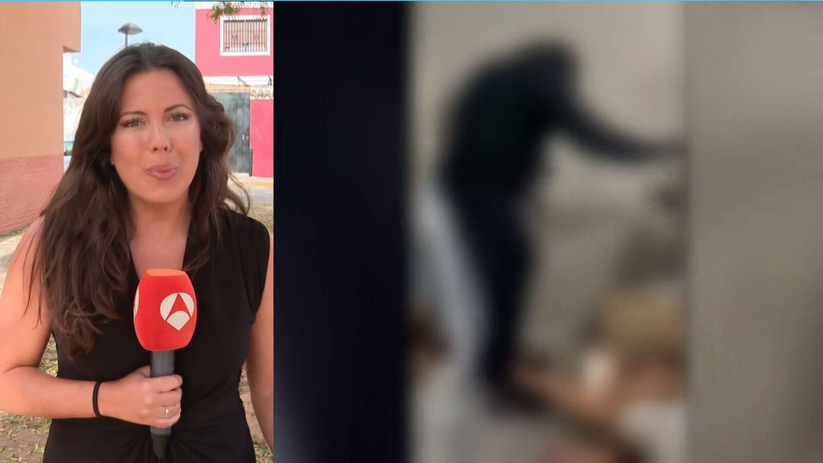 Las sobrecogedoras imágenes de la paliza a un jefe de la droga en Sevilla: 
