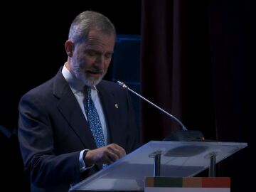 El Rey Felipe VI en Arequipa, Perú