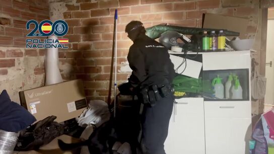 Diez detenidos de una red criminal de estafadores