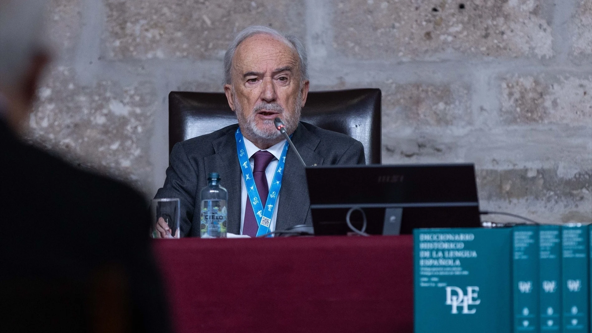 Muñoz Machado, director de la RAE. Muñoz Machado, director de la RAE.