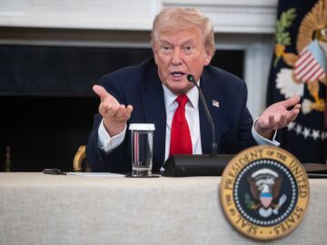 El presidente de los Estados Unidos, Donald Trump  El presidente de los Estados Unidos, Donald Trump