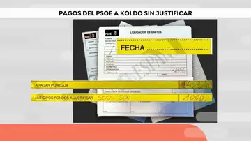 Pagos del PSOE a Koldo Pagos del PSOE a Koldo