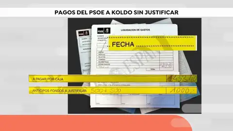 Pagos del PSOE a Koldo Pagos del PSOE a Koldo
