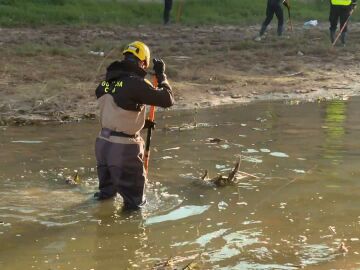 B&uacute;squeda de desaparecidos