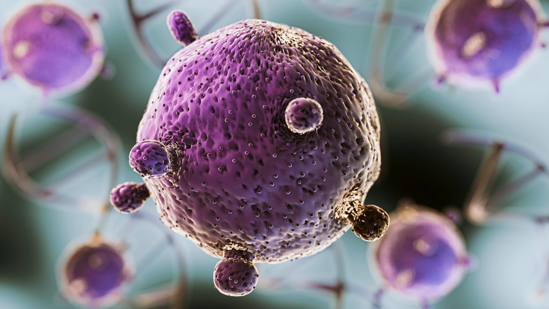 Cáncer Cáncer