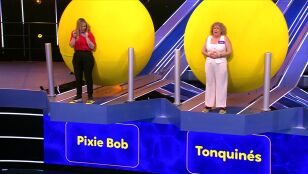 Piscinazo de El bloque: doble ca&iacute;da en una sola ronda por mezclar perros y gatos