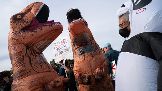 Asistentes con disfraces inflables se congregaron para una protesta contra Donald Trump, bajo el lema "No Kings", en Washington Asistentes con disfraces inflables se congregaron para una protesta contra Donald Trump, bajo el lema "No Kings", en Washington