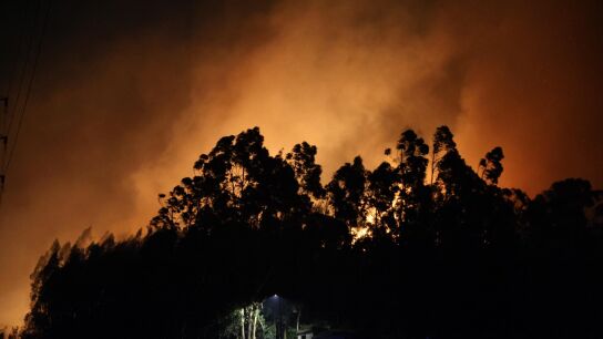Incendio monte Areo