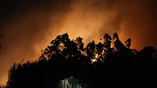 Incendio monte Areo Incendio monte Areo