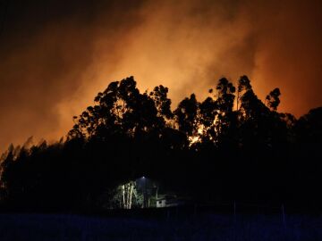 Incendio monte Areo