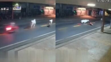 Muere el futbolista Antony Ylano tras chocar su moto contra una vaca en una carretera de Brasil