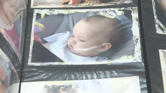 Fotografías perdidas en la Dana 2 Fotografías perdidas en la Dana 2