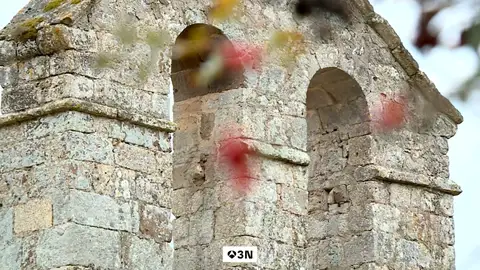 Roban la campana de iglesia de Quintana de Pino, en Burgos Roban la campana de iglesia de Quintana de Pino, en Burgos