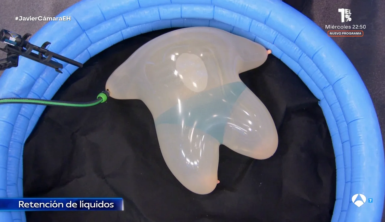 "Esto lo habréis ensayado, ¿no?": Javier Cámara alucina con el experimento de Marron