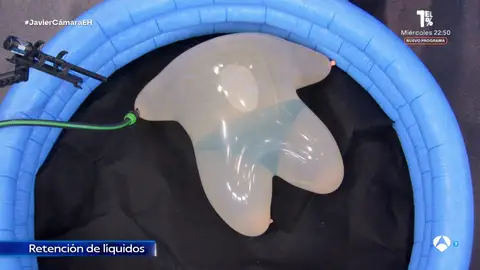 "Esto lo habréis ensayado, ¿no?": Javier Cámara alucina con el experimento de Marron "Esto lo habréis ensayado, ¿no?": Javier Cámara alucina con el experimento de Marron