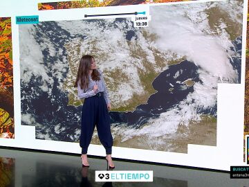 Mercedes Mart&iacute;n