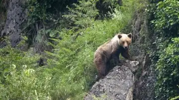 Imagen de archivo Imagen de archivo