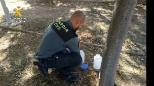 Guardia Civil en Villaluenga de la Sagra.