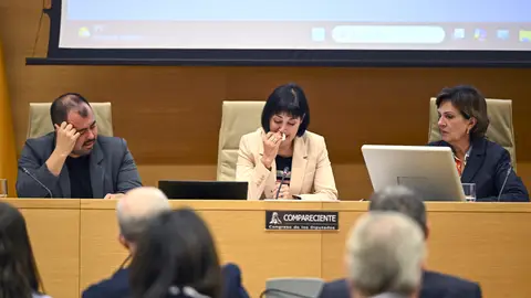 Víctima de la DANA en el Congreso Víctima de la DANA en el Congreso