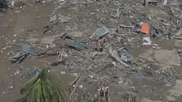 Tifón Fung wong Tifón Fung wong