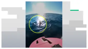 La windsurfista Iset Segura, condecorada por salvar a un padre y su hija de morir ahogados La windsurfista Iset Segura, condecorada por salvar a un padre y su hija de morir ahogados