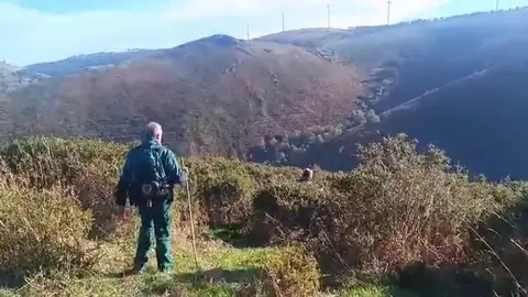 Desaparece Tomás Rodríguez, el ‘Rambo de Tineo’, en las montañas de La Llaneza (Asturias) Desaparece Tomás Rodríguez, el ‘Rambo de Tineo’, en las montañas de La Llaneza (Asturias)