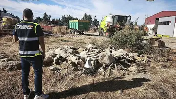 Imagen de los hechos Imagen de los hechos