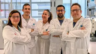 Desarrollan un bioplástico que convierte a las abejas en aliadas contra el plástico Desarrollan un bioplástico que convierte a las abejas en aliadas contra el plástico
