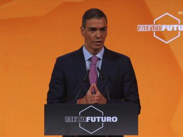 S&aacute;nchez en Metafuturo