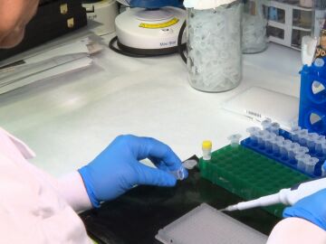 Identifican la c&eacute;lula de origen del Sarcoma de Ewing