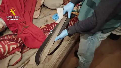 Desarticulada una banda juvenil en Toledo vinculada a los Trinitarios Desarticulada una banda juvenil en Toledo vinculada a los Trinitarios