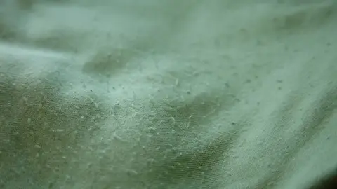 Pelotillas en el jersey Pelotillas en el jersey