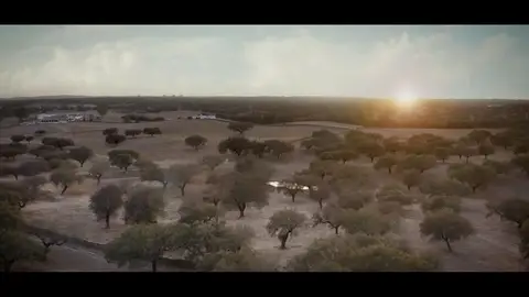 Los mejores productos extremeños se exponen en la segunda edición de Feria Espiga agroalimentaria Los mejores productos extremeños se exponen en la segunda edición de Feria Espiga agroalimentaria