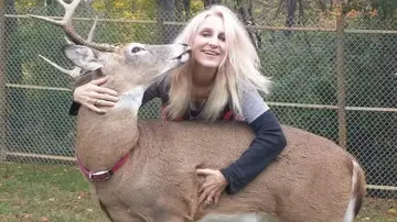 Muere una mujer tras el ataque del ciervo que había rescatado y domesticaba desde hacía años Muere una mujer tras el ataque del ciervo que había rescatado y domesticaba desde hacía años