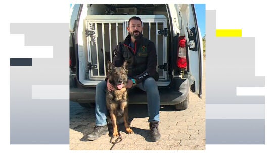 Un perro polic&iacute;a de la Guardia Civil en imagen de archivo