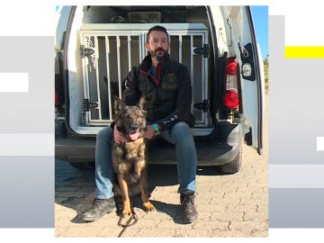 Un perro policía de la Guardia Civil en imagen de archivo