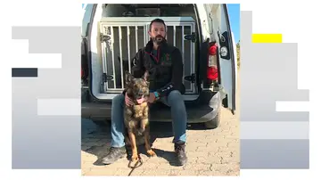 Un perro policía de la Guardia Civil en imagen de archivo Un perro policía de la Guardia Civil en imagen de archivo