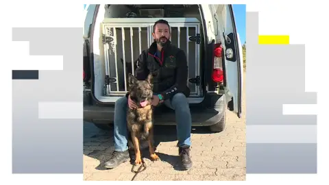 Un perro policía de la Guardia Civil en imagen de archivo Un perro policía de la Guardia Civil en imagen de archivo