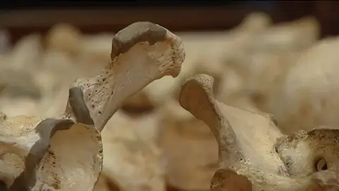 Efemérides de hoy 4 de diciembre de 2025: ¿Qué pasó el 4 de diciembre? Efemérides de hoy 4 de diciembre de 2025: ¿Qué pasó el 4 de diciembre?