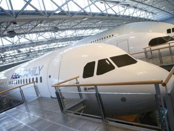 Airbus detecta que la radiaci&oacute;n solar estar&iacute;a detr&aacute;s del fallo en los A320neo que ha provocado cientos de cancelaciones y retrasos